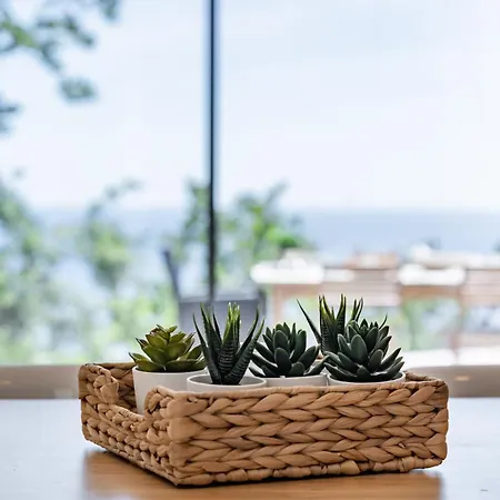 Villa Little Paradise Vue Mer, Grande Terrasse Le Pradet